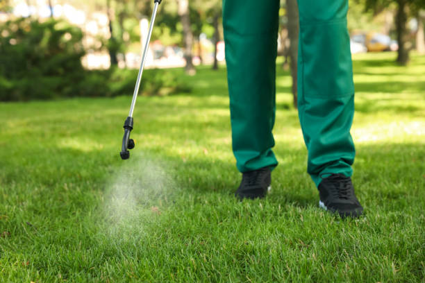 Best Commercial Pest Control Services  in Camp Point, IL