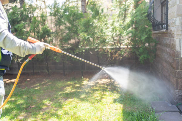 Best Affordable Pest Control Services  in Camp Point, IL