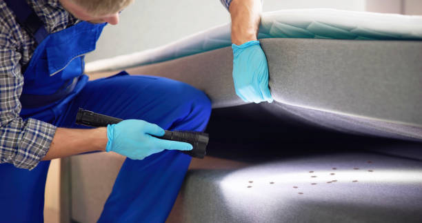 Best Pest Control Near Me in Camp Point, IL